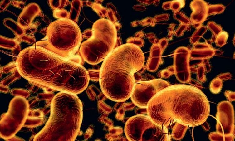 бактерии, причиняващи инфекциозен простатит
